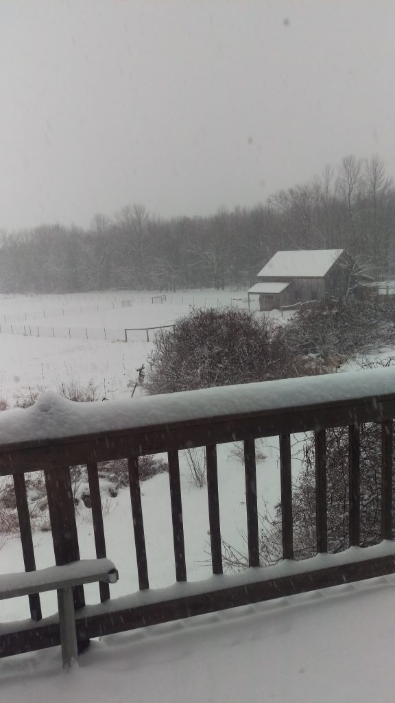 Snow on the barn <span id=